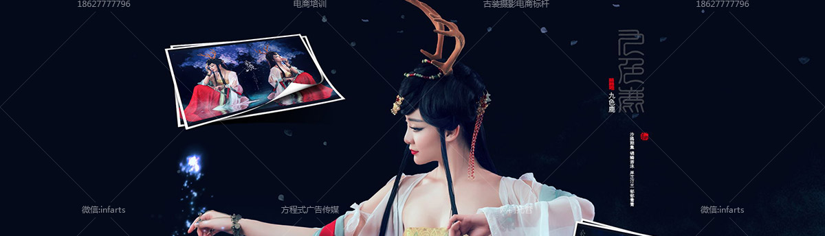 金鸡贺岁